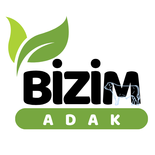 Bizim Adak