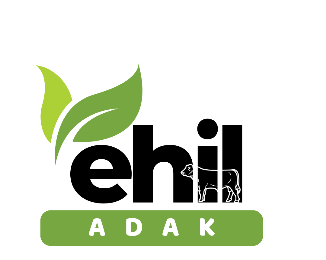 Ehil Adak